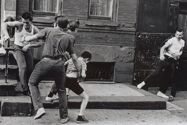 American Photography Acquisitions for Contemporary Art Collection