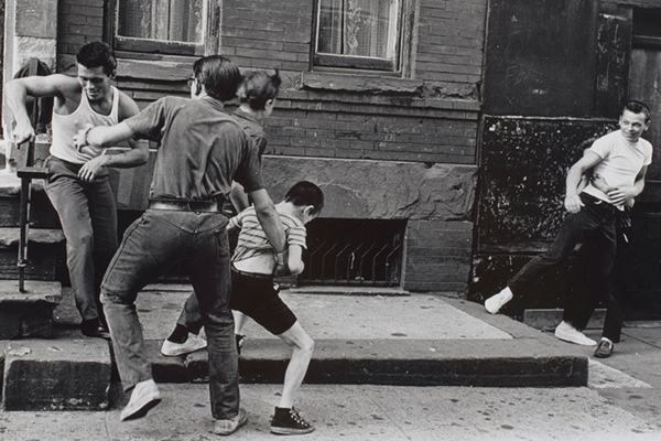 American Photography Acquisitions for Contemporary Art Collection